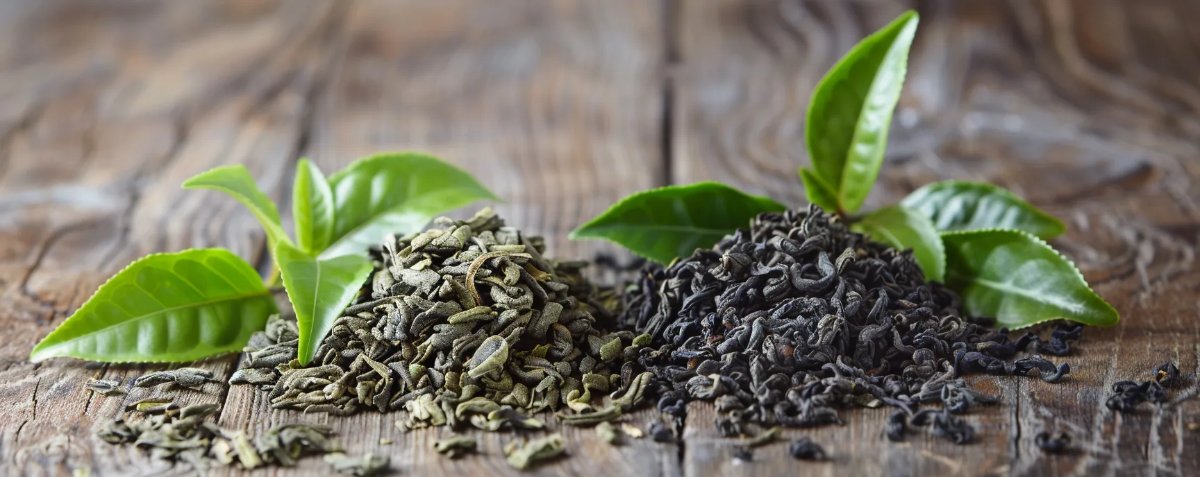 Czym różni się czarna herbata od herbaty zielonej?
